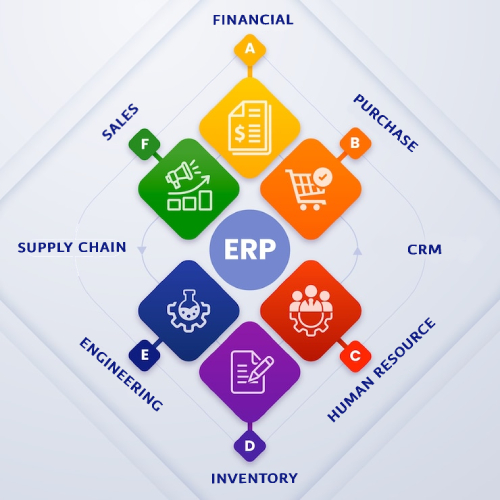 erp consulting Solutions provider