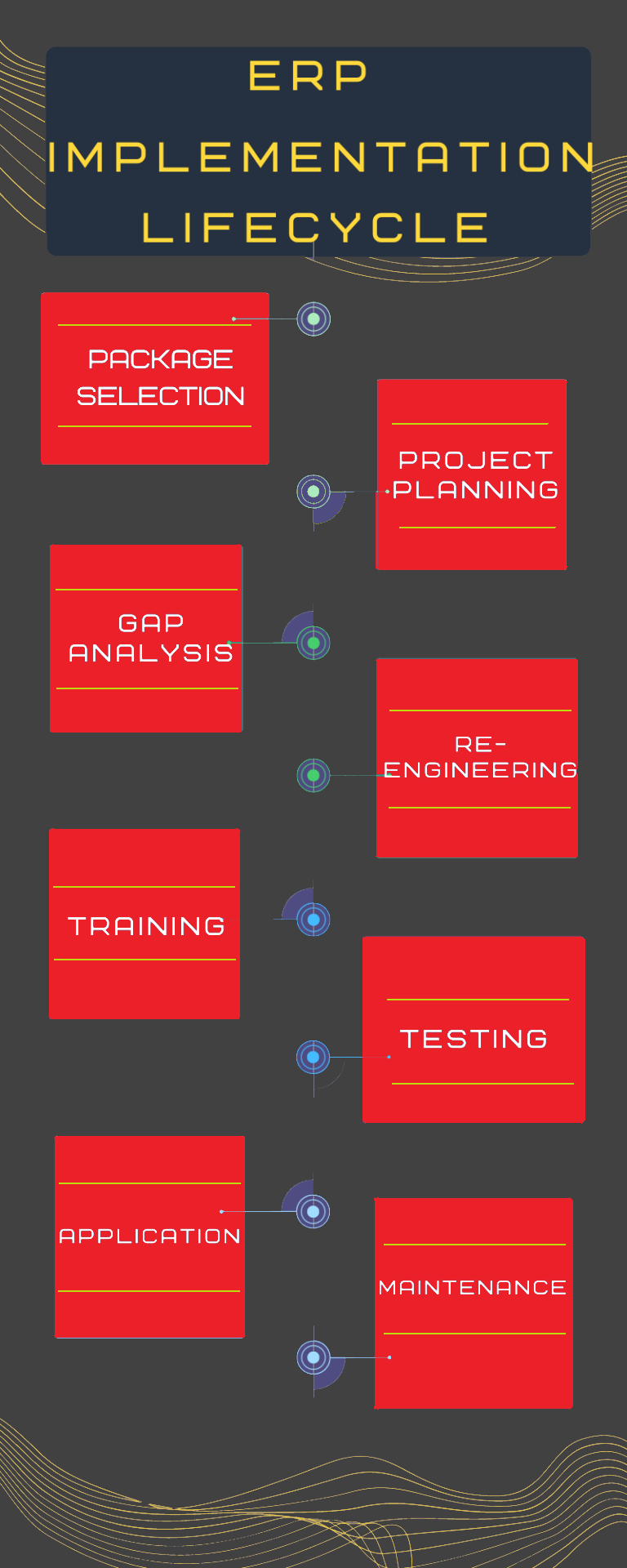 ERP Recruitment Specialist company lifecycle